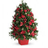 Deck The Halls Tree - Deluxe. An arrangement by Belak Flowers.
