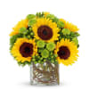 Sunflower Surprise Bouquet deluxe