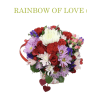 Rainbow of Love deluxe