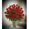 Romance in Reds premium