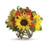 Sunny Sunflowers Bouquets deluxe