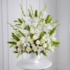 Serene Morning Star Arrangement premium