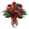 classic traditional  Red carnation in vase standard