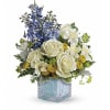 Teleflora's Welcome Little One - Baby Boy deluxe