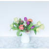 Spring Assortment premium