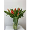 Orange you glad you ordered tulips standard