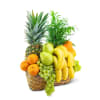 Green Goodness Fruit & Plant Basket standard