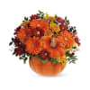 Teleflora's Country Pumpkin Flower Arrangement deluxe