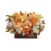 Teleflora Fall Chic Arrangement deluxe