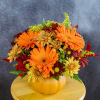 Pumpkin Spice by Conny's Flower Shop premium