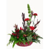 Happy Holiday Cheer - Deluxe. An arrangement by Flowers Plus.