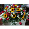 Glorious Sunflowers and Red Roses Casket Spray premium