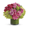 Teleflora New Sensations premium