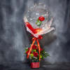 Red Romance Ballon Bouquet standard