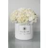 Fresh cut white Hydrangeas in round white box premium