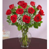 Rose Elegance Premium Long Stem Red Roses 2022 standard