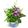 Sweet Memory Garden Planter - Containers Vary premium