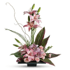 Elegant Imagination Blooms with Cymbidium Orchids premium