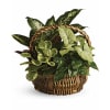 Emerald Garden Baskets standard