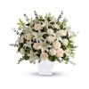 Serene White Tribute premium