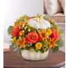 Country White Bumpkin Pumpkin premium