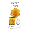 Yellow Rose Vase (Supersun) - Premium. An arrangement by Floratechnics.