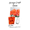 Orange Crush Roses in a Vase deluxe