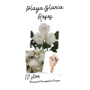 Playa Blanca (White) Roses Wrapped (12/18 or 24) standard