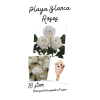 12, 18 or 24 Playa Blanca Roses Wrapped deluxe