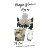 Playa Blanca White Rose Vase (12/12 deluxe/24) - Premium. An arrangement by Floratechnics.