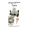 12/18/24 Playa Blanca Roses Wrapped in Cellophane premium