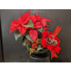 Christmas Wonders Planter standard