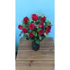 DELUXE RED ROSES (HALF DOZEN TO 1.5 DOZEN) premium