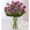 Rose Elegance™ Premium Long Stem Lavender Roses standard