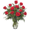 Petra Classic Red Roses premium