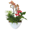 Large EileenTropical Planter - Deluxe. An arrangement by Flowers Plus.