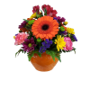 Pop of Colour - Premium. An arrangement by Flowers Plus.