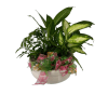 White Elite Ceramic Planter deluxe