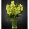 LUXURY ORCHIDS - GREEN premium