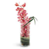 Mamaroneck Peaceful Pink Orchids premium