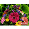 Florist Choice Wrapped Seasonal Bouquet - Premium. An arrangement by Flowers Plus.
