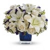 Teleflora Sapphire Skies premium