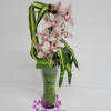 Elegant Cymbidium Touch standard