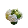 BRASCO FLORIST SENTIMENT VASE standard