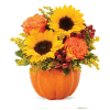 Garden Sunny Fall - Standard. An arrangement by Garden Florist.