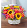 Beautiful Blooms™ Arrangement premium