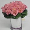 Sweet Pink Rose standard