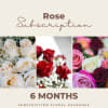 Subscription Packages - Dozen Wrapped Roses deluxe