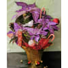 PURPLE POINSETTIA PLANT standard