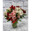 Love Alstromeria Lilies deluxe